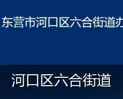 河口区六合街道